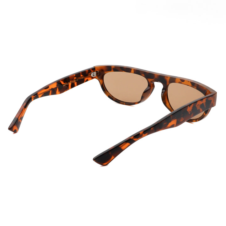Jake - Demi Tortoise