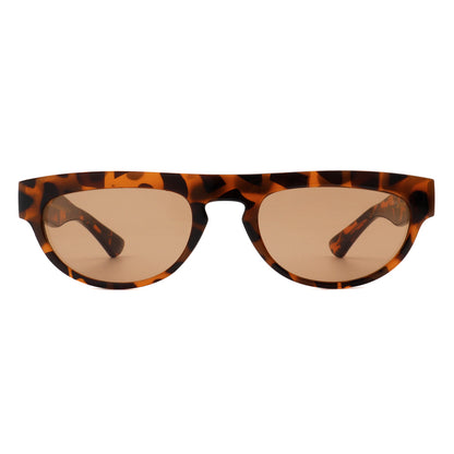 Jake - Demi Tortoise