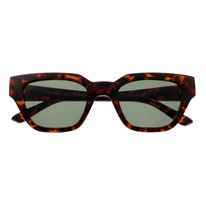 Kaws - Demi Tortoise