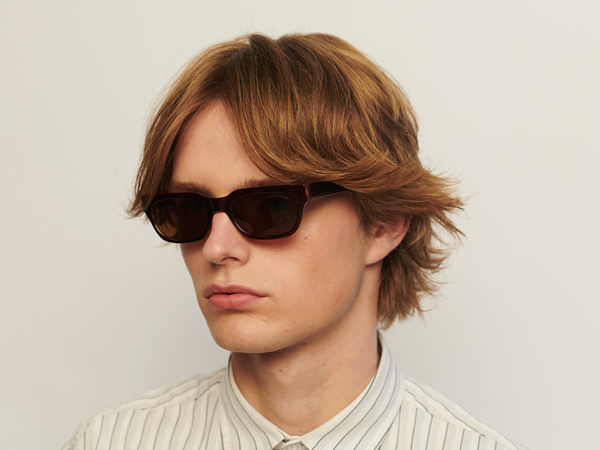 Bror - Brown/Demi Light Brown Transparent