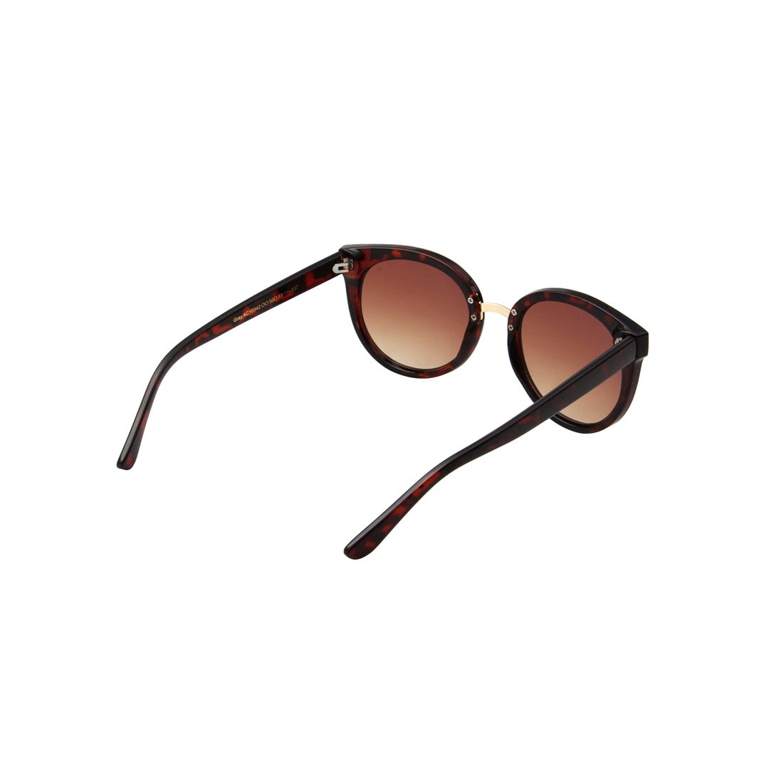 Gray - Demi Tortoise