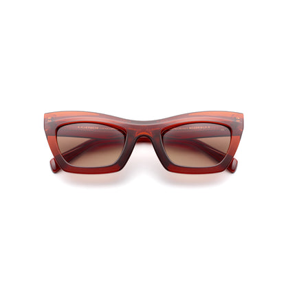 Luxx - Brown Transparent