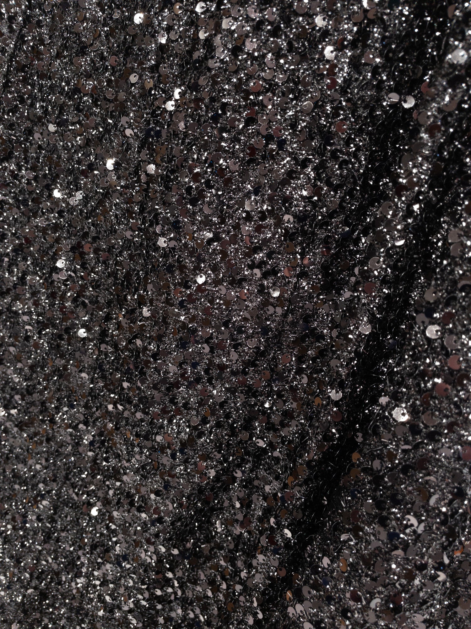 Sequined Skirt